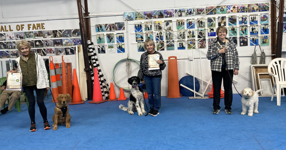 Puppy Kindergarten Grads & AKC Star Puppies (November 2024)