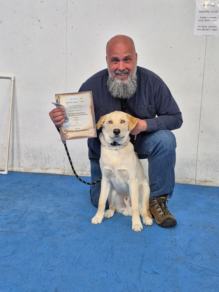 Advanced Puppy & Novice Trick Dog (May, 2025)