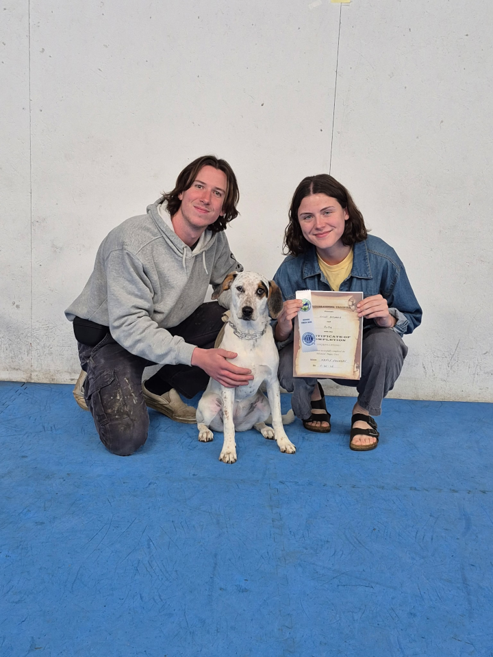 Advanced Puppy & Novice Trick Dog (May, 2025)