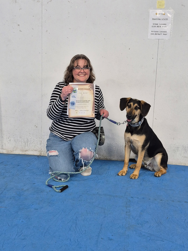 Advanced Puppy & Novice Trick Dog (May, 2025)