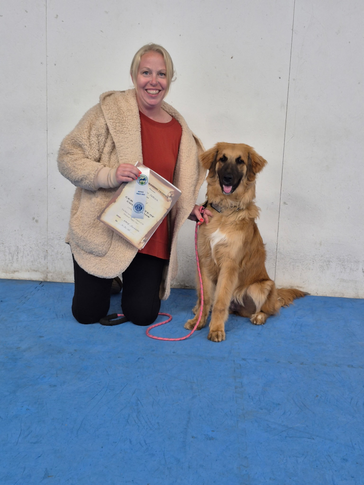 Advanced Puppy & Novice Trick Dog (May, 2025)