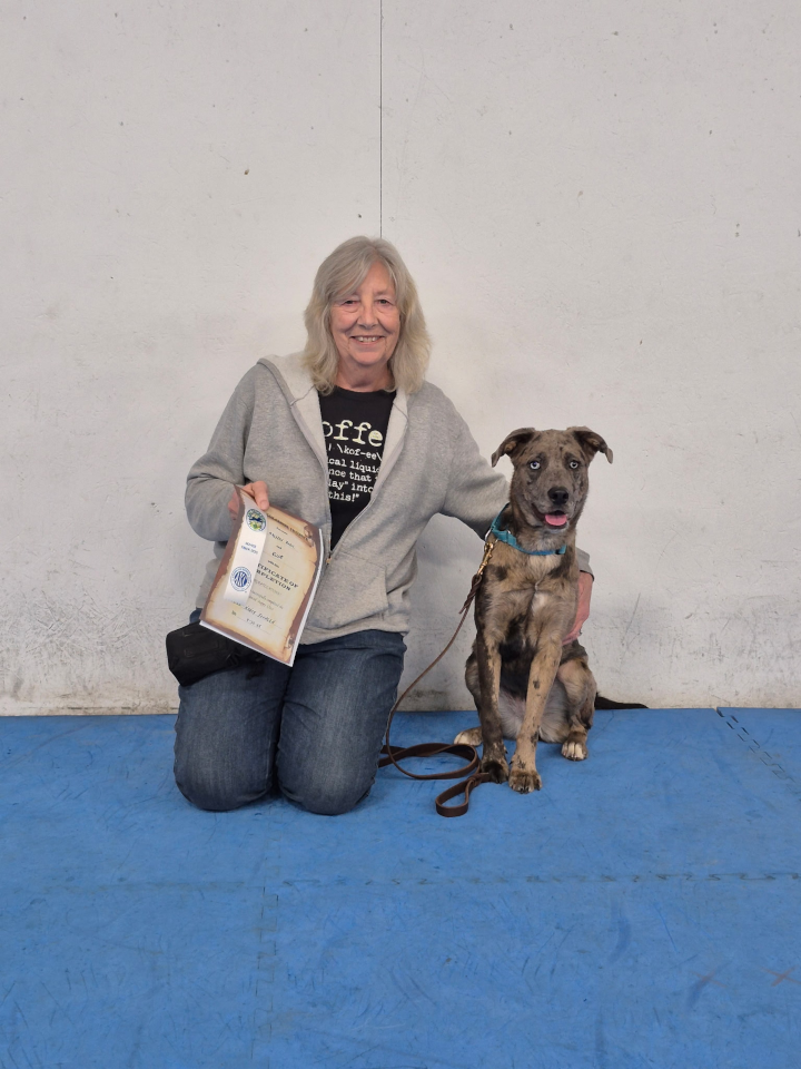 Advanced Puppy & Novice Trick Dog (May, 2025)