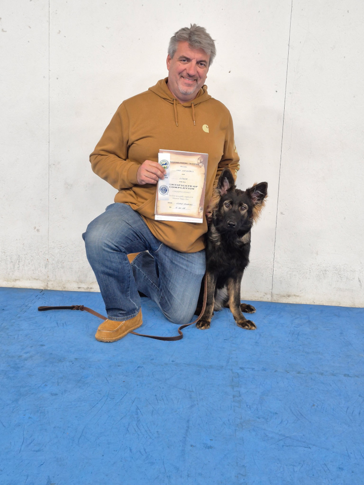 Advanced Puppy & Novice Trick Dog (May, 2025)