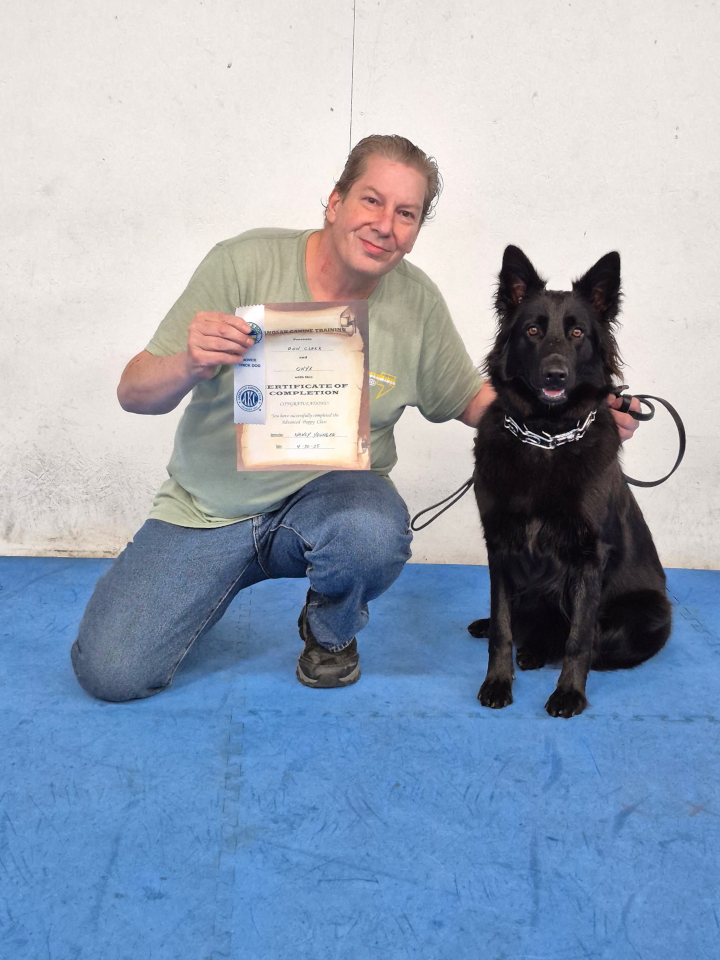 Advanced Puppy & Novice Trick Dog (May, 2025)