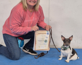 Advanced Puppy & Novice Trick Dog (May, 2025)