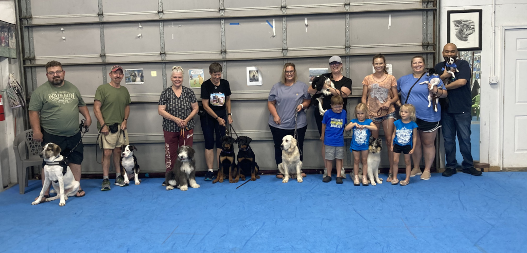 Puppy Kindergarten, June 2025