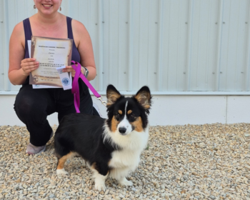 Advanced Puppy & Novice Trick Dog, June 2025