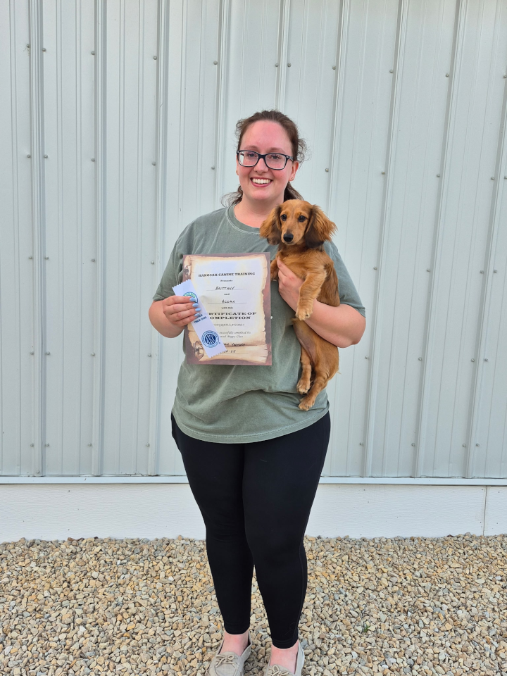 Advanced Puppy & Novice Trick Dog, June 2025