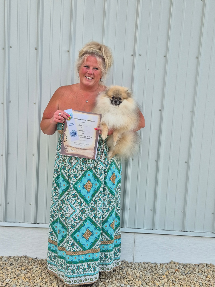 Advanced Puppy & Novice Trick Dog, June 2025