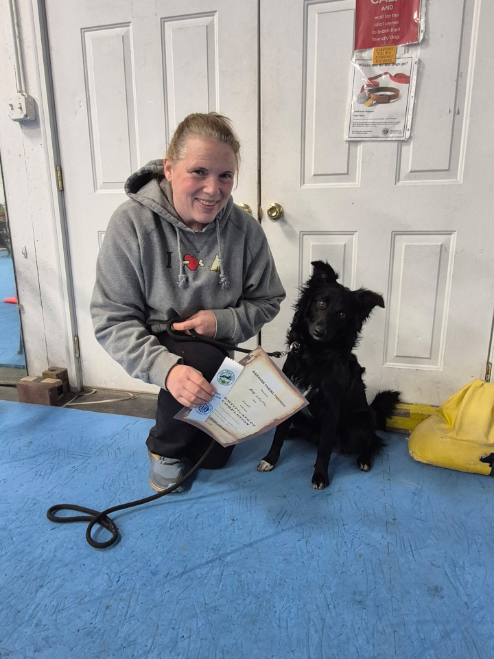 Advanced Puppy and Novice Trick Dog Graduates