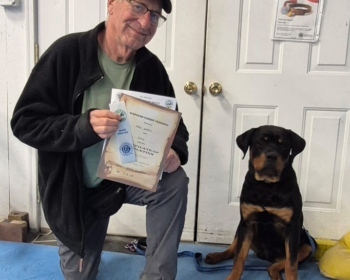 Advanced Puppy and Novice Trick Dog Graduates
