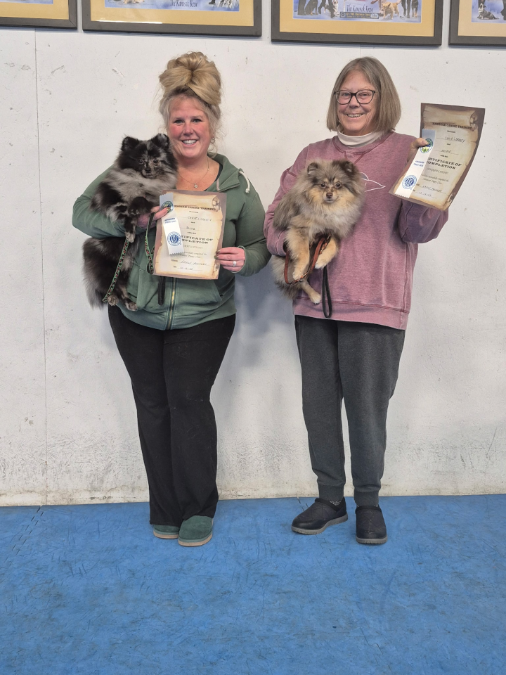 Advanced Puppy, Trick Dog Graduates - December, 2025