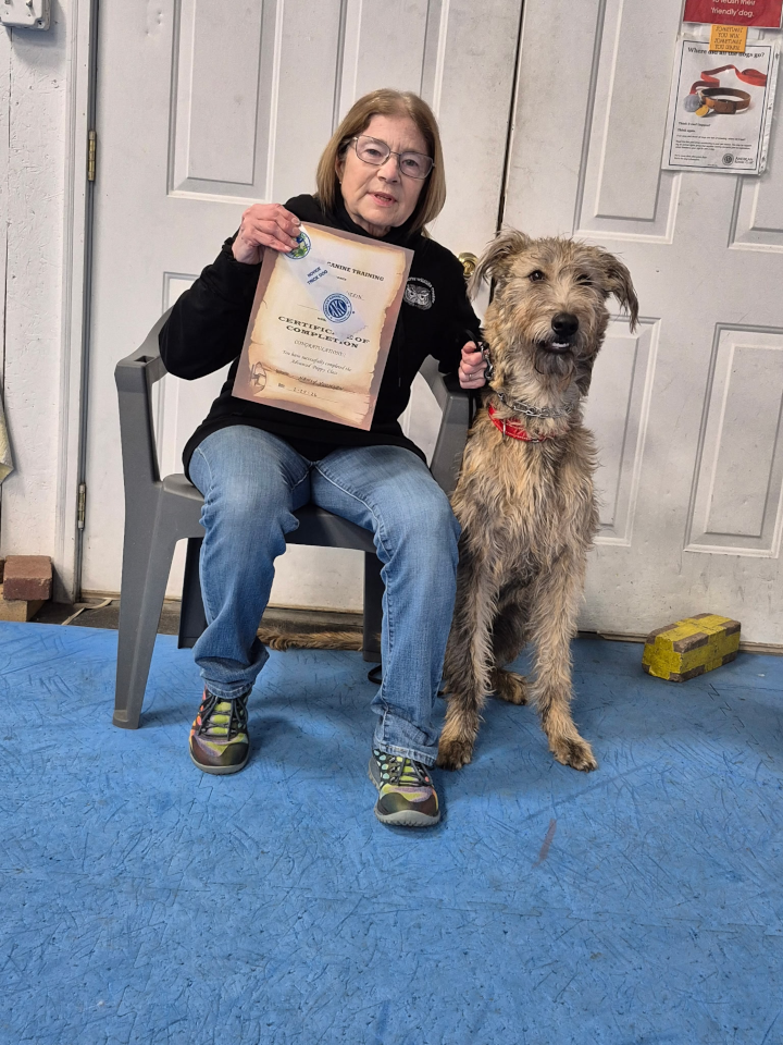 Advanced Puppy Novice, February 2026