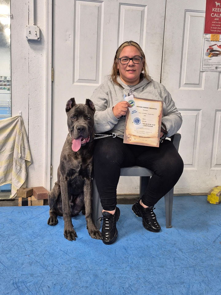 Advanced Puppy Novice, February 2026