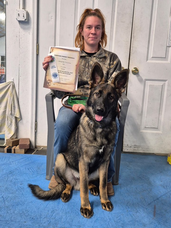 Advanced Puppy Novice, February 2026