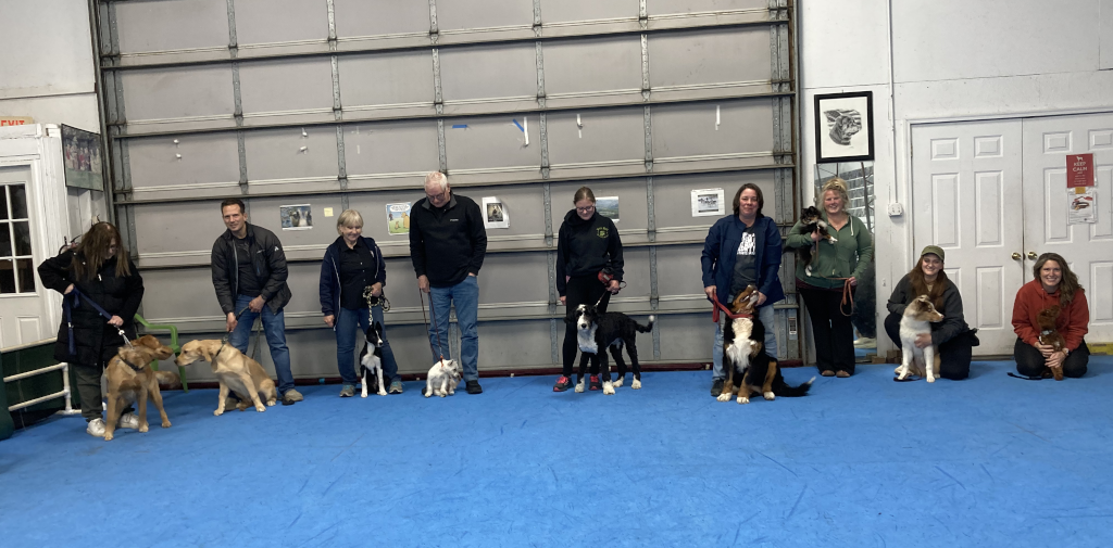 Puppy Kindergarten, April 2026