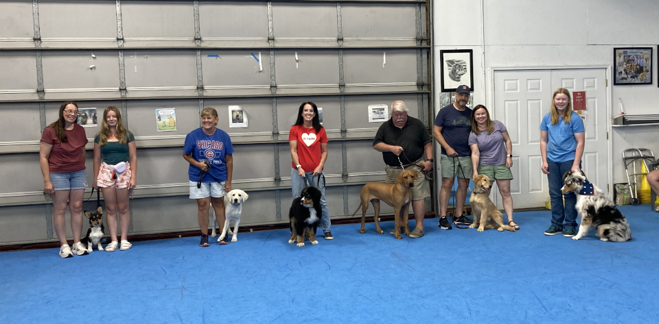 Puppy Kindergarten (July 2026)