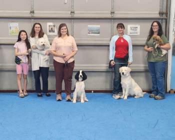 Star Puppy Graduates (August, 2026)